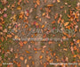 Backyard Fall Fabric Floor (CC)