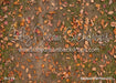 Backyard Fall Fabric Floor (CC)