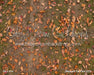 Backyard Fall Fabric Floor (CC)