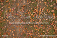 Backyard Fall Fabric Floor (CC)