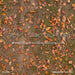 Backyard Fall Floor (CC)
