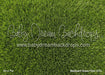 Backyard Grass Fabric Floor (CC)