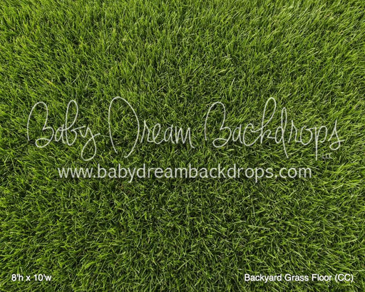 Backyard Grass Floor (CC)