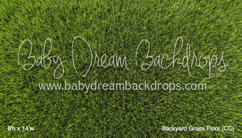 Backyard Grass Floor (CC)