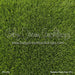 Backyard Grass Floor (CC)