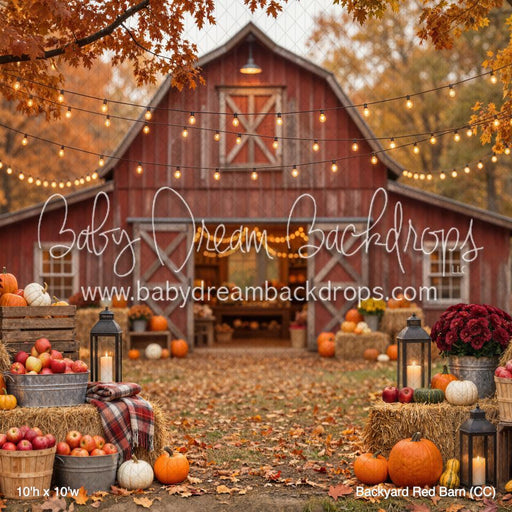 Backyard Red Barn (CC)