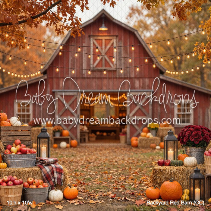 Backyard Red Barn (CC)