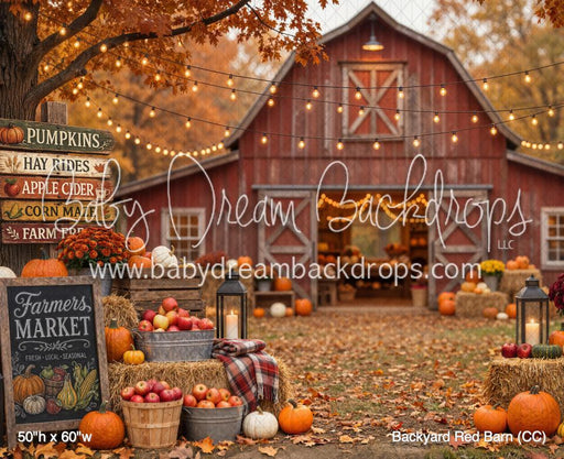 Backyard Red Barn (CC)