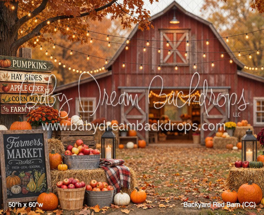 Backyard Red Barn (CC)