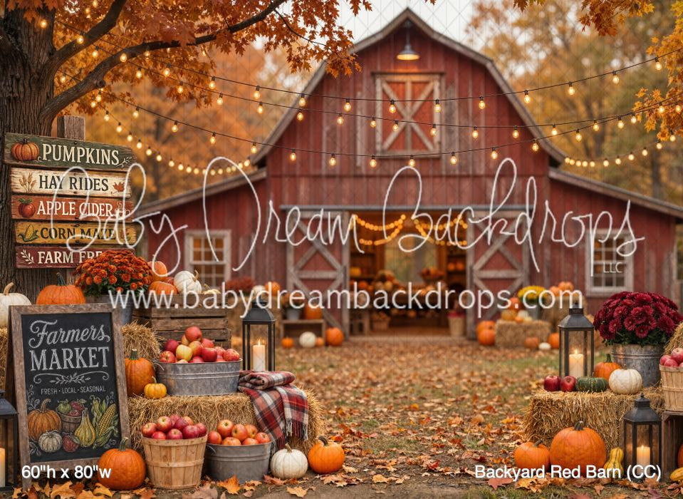 Backyard Red Barn (CC)