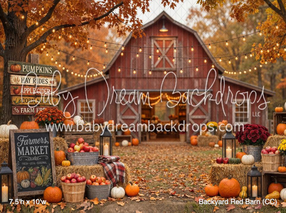 Backyard Red Barn (CC)