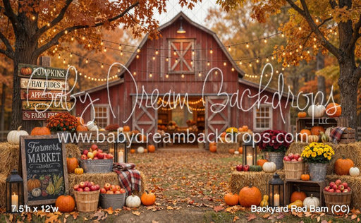 Backyard Red Barn (CC)
