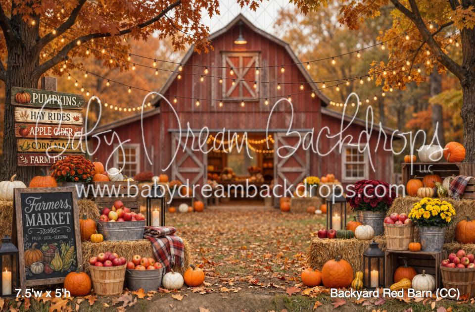 Backyard Red Barn (CC)