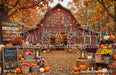 Backyard Red Barn (CC)