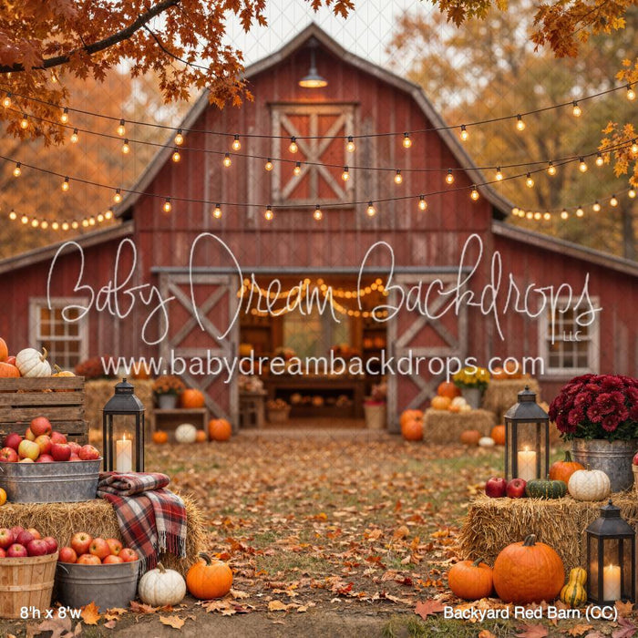 Backyard Red Barn (CC)