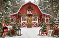 Backyard Red Winter Barn (CC)