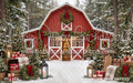Backyard Red Winter Barn (CC)