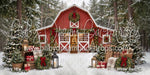 Backyard Red Winter Barn (CC)