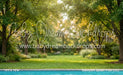 Backyard Splash Pool (CC)