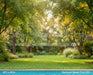 Backyard Splash Pool (CC)