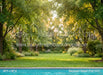 Backyard Splash Pool (CC)
