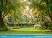 Backyard Splash Pool (CC)