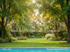 Backyard Splash Pool (CC)