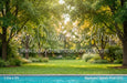 Backyard Splash Pool (CC)