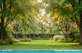 Backyard Splash Pool (CC)