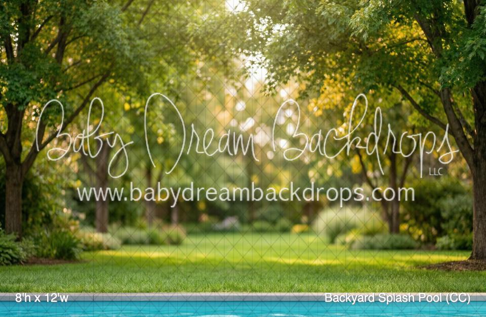 Backyard Splash Pool (CC)