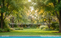 Backyard Splash Pool (CC)