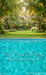 Backyard Splash Pool Sweeps (CC)