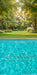 Backyard Splash Pool Sweeps (CC)