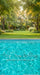Backyard Splash Pool Sweeps (CC)