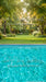 Backyard Splash Pool Sweeps (CC)