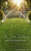Backyard Splash Sprinklers Sweeps (CC)