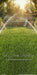 Backyard Splash Sprinklers Sweeps (CC)