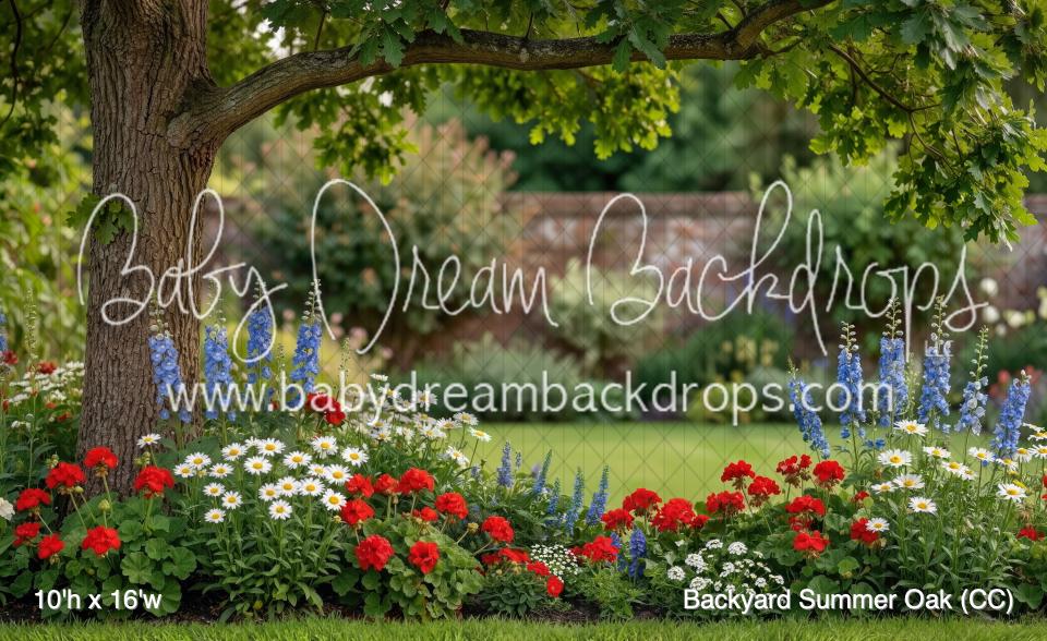 Backyard Summer Oak (CC)