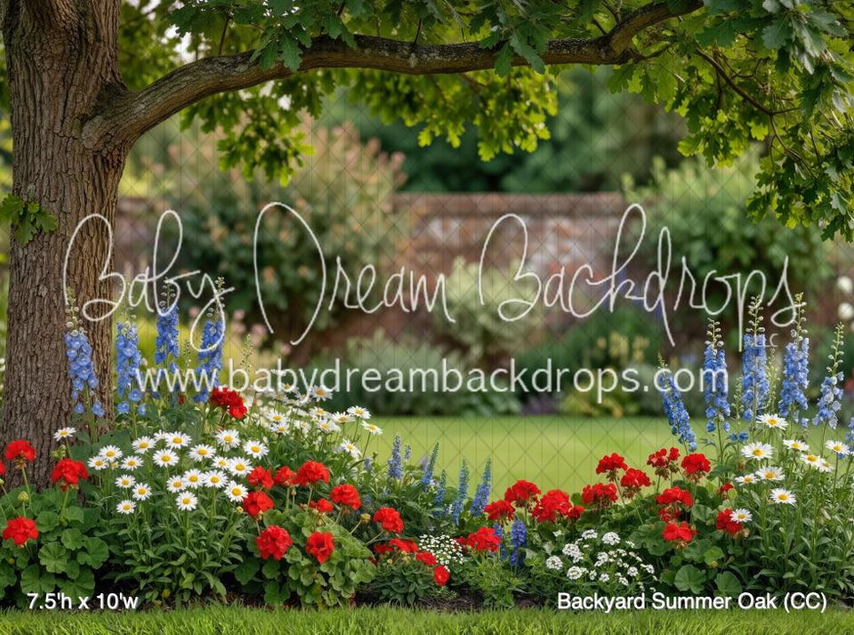 Backyard Summer Oak (CC)