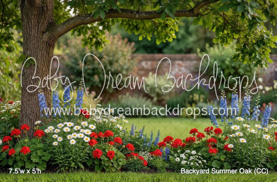 Backyard Summer Oak (CC)