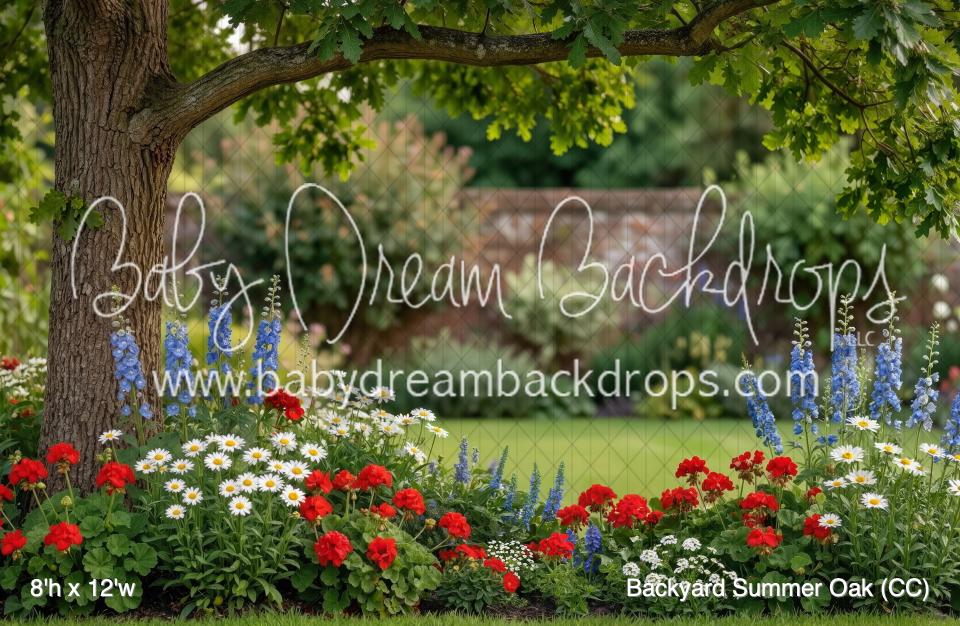 Backyard Summer Oak (CC)