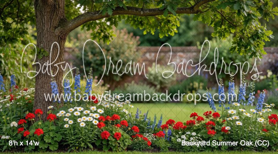 Backyard Summer Oak (CC)