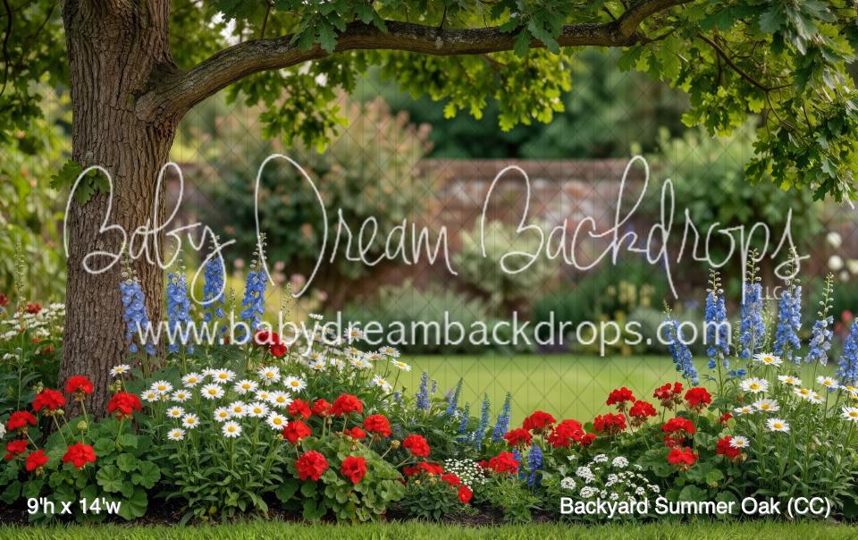 Backyard Summer Oak (CC)