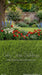 Backyard Summer Oak Sweeps (CC)