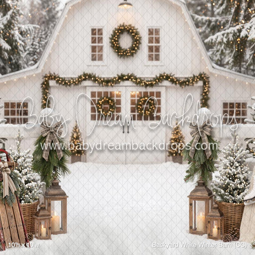 Backyard White Winter Barn (CC)