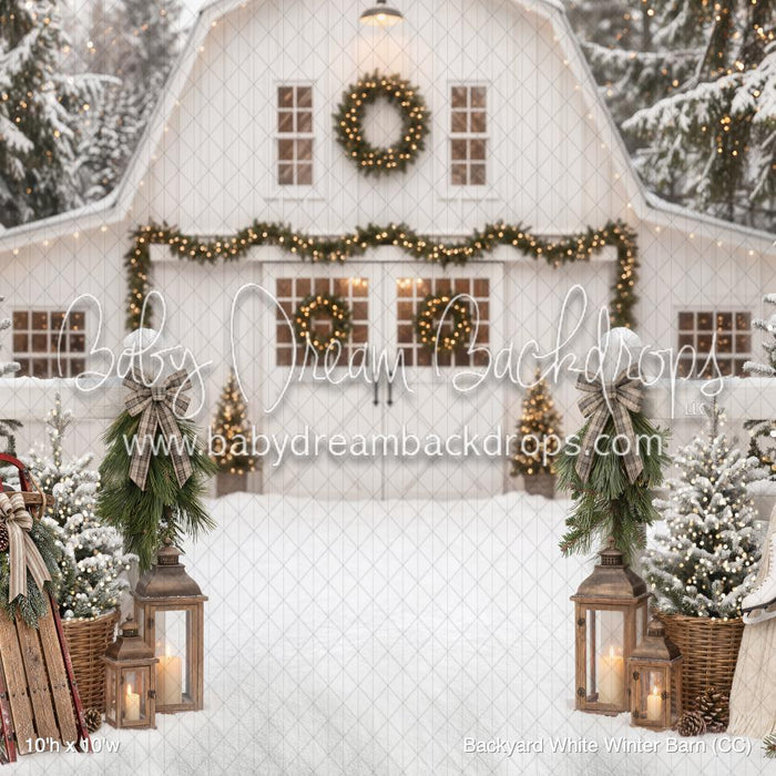 Backyard White Winter Barn (CC)