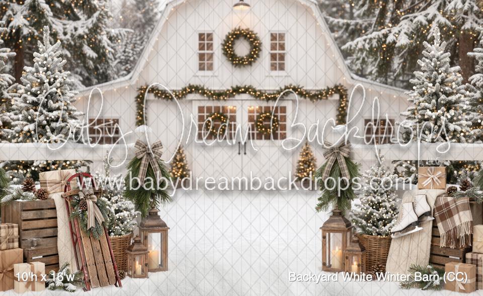 Backyard White Winter Barn (CC)
