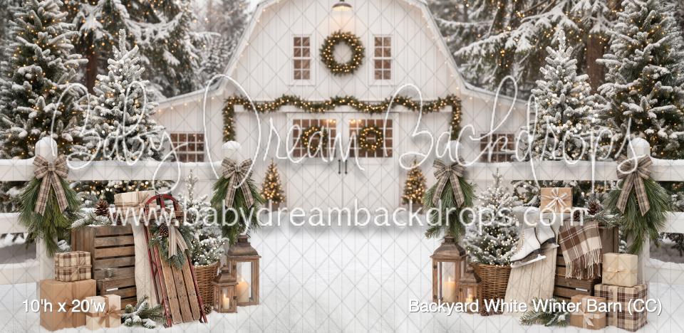 Backyard White Winter Barn (CC)