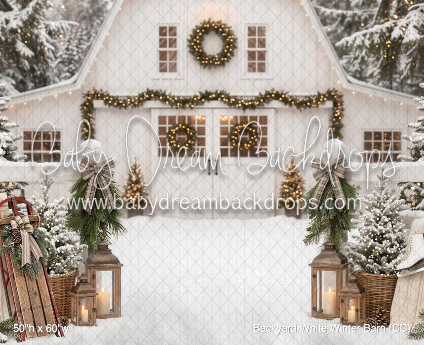 Backyard White Winter Barn (CC)