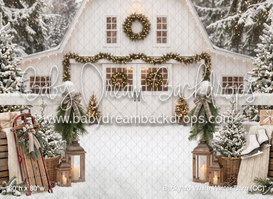 Backyard White Winter Barn (CC)